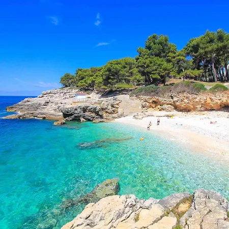 Travel Station * 풀라